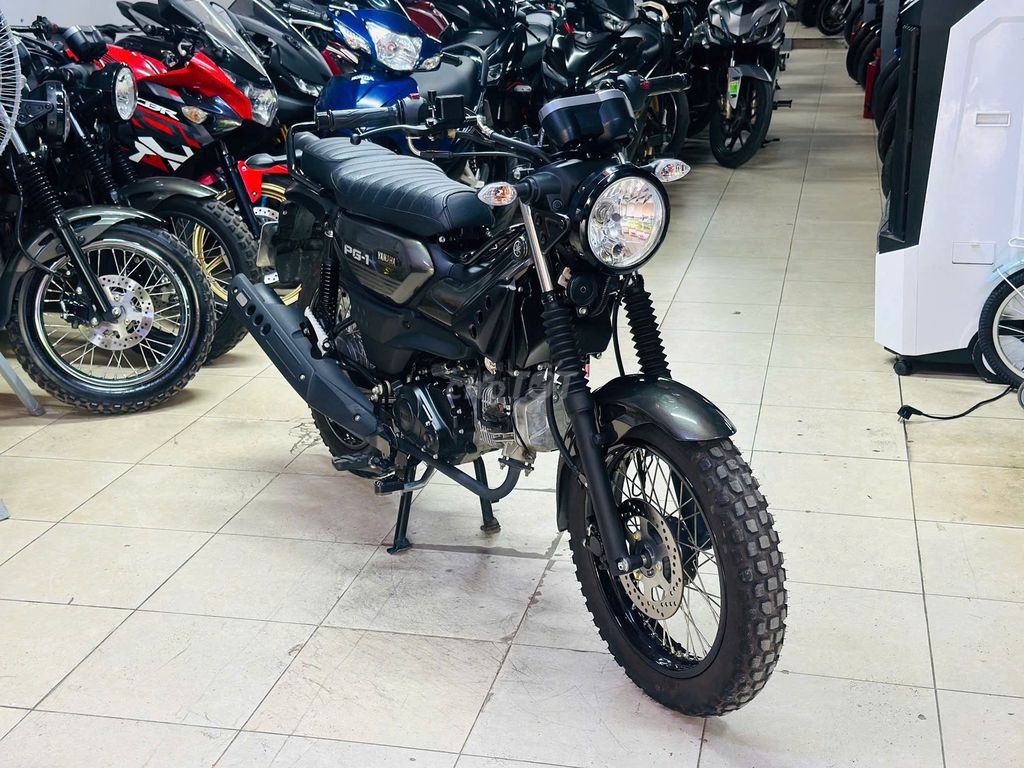 XE M 2024 - ảnh 1