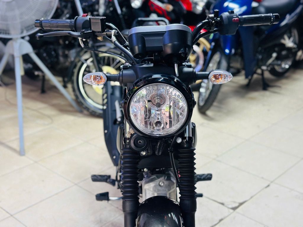 XE M 2024 - ảnh 2