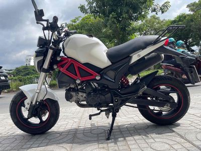 Xe m 2019 - ảnh 1