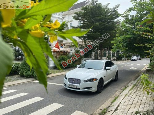 Jaguar XF 2.0 AT 2014 - ảnh 2
