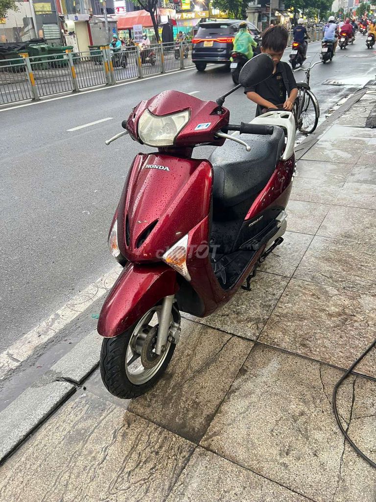 Honda Lead 2010 - ảnh 5