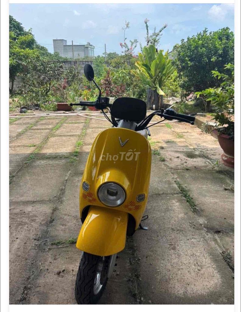 VinFast 2025 - ảnh 1