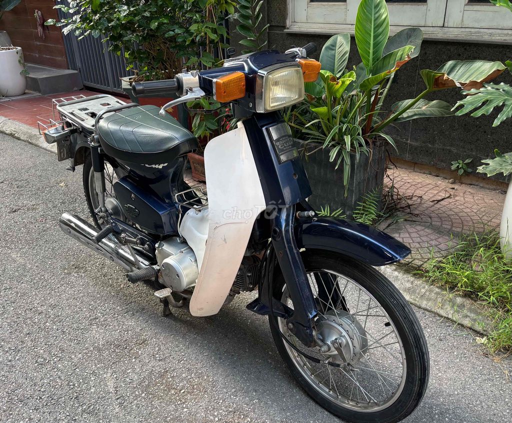 Xe Cub 2019 - ảnh 1