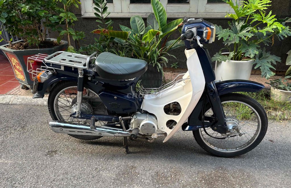 Xe Cub 2019 - ảnh 2