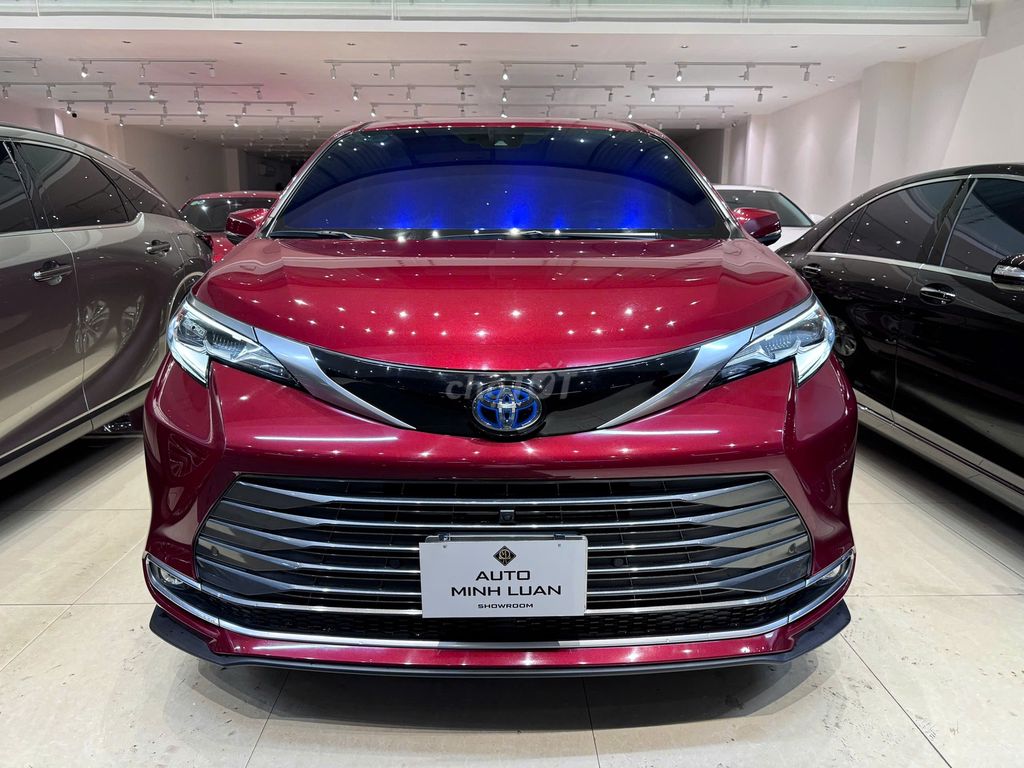 Toyota Sienna 2021 - ảnh 1