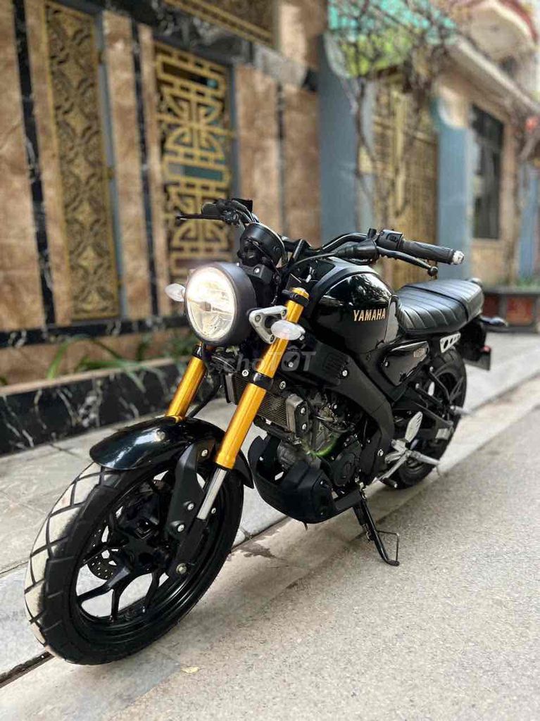 Yamaha XSR 2024 - ảnh 2
