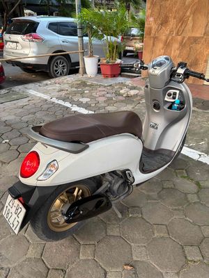 Honda Scoopy 2022 - ảnh 1