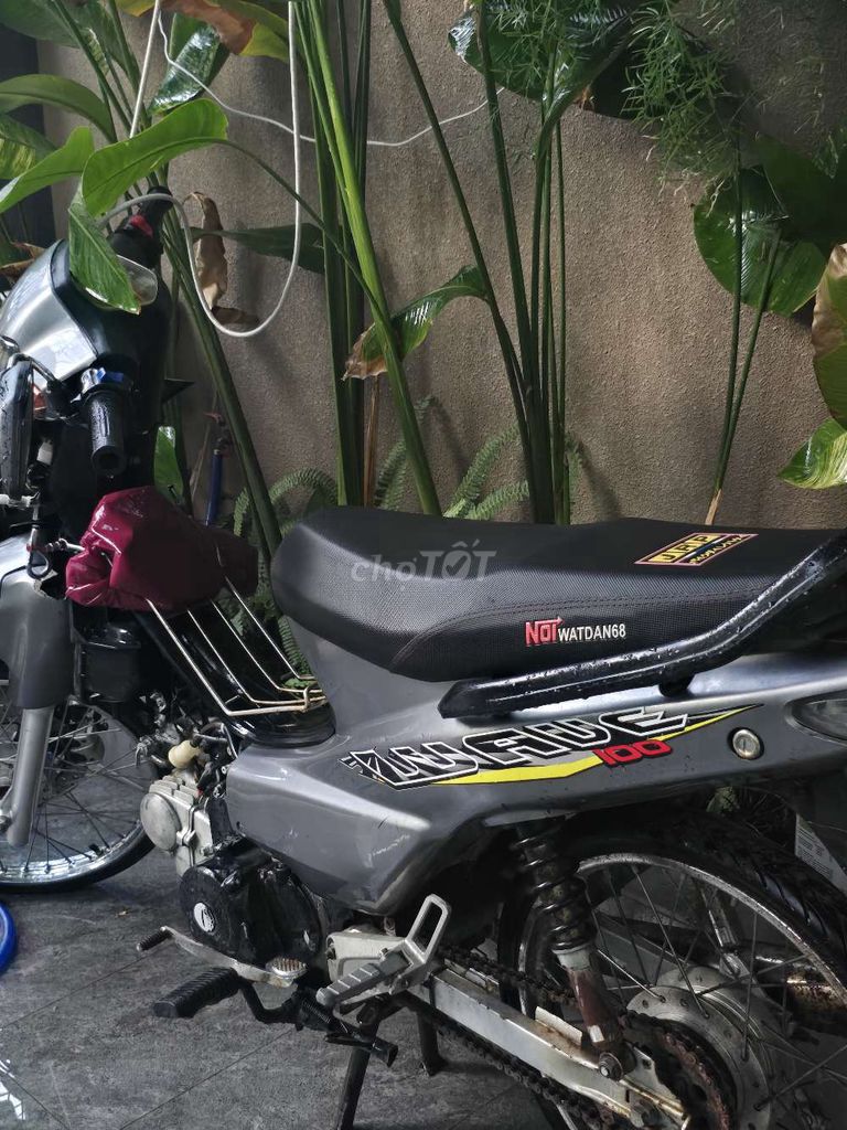 Honda Wave 2010 - ảnh 1