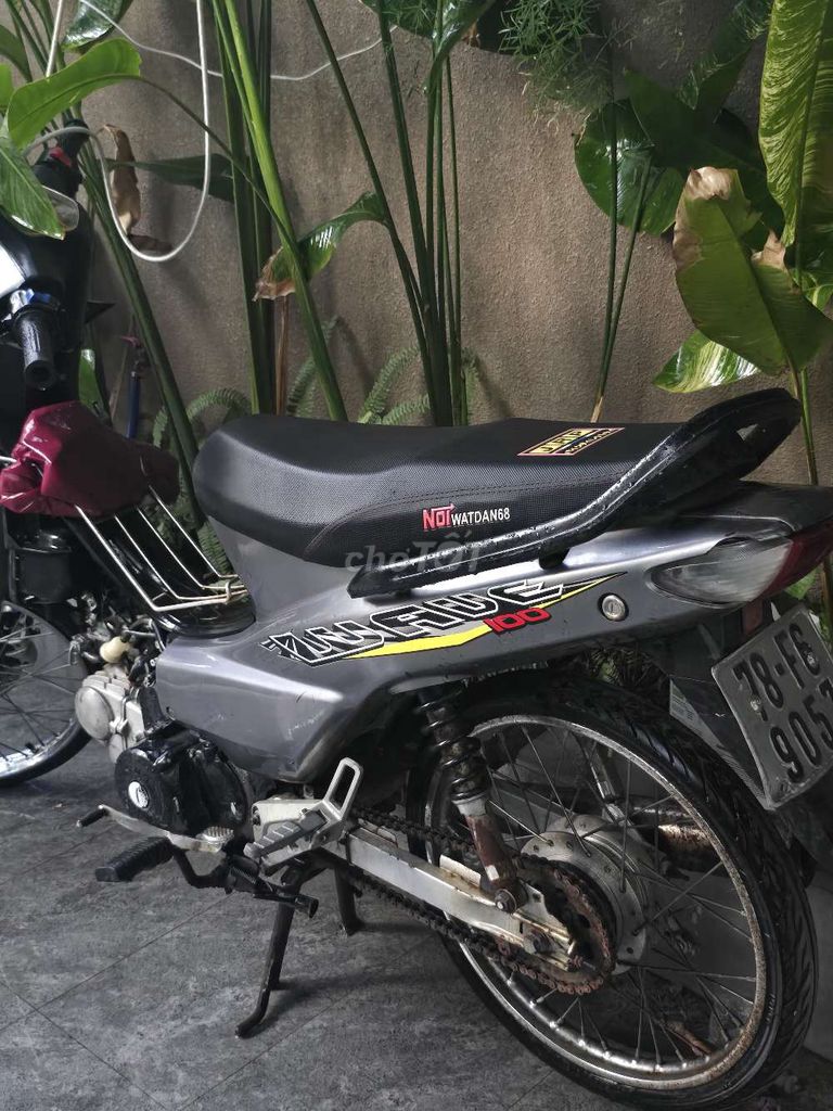 Honda Wave 2010 - ảnh 2