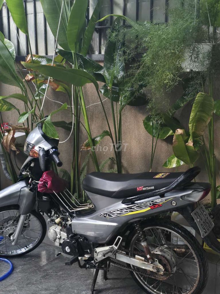 Honda Wave 2010 - ảnh 3