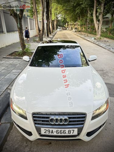 Audi 2009 - ảnh 1