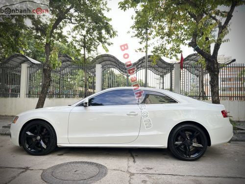 Audi 2009 - ảnh 2