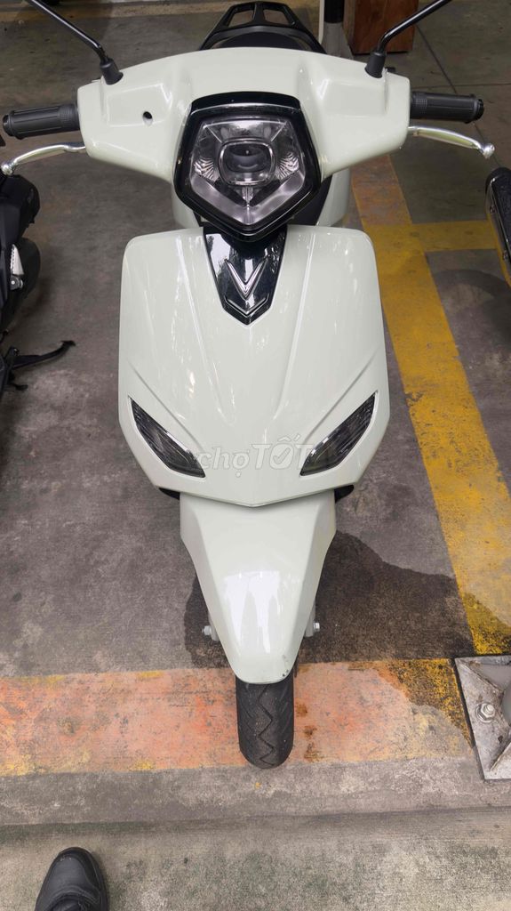 Xe m 2025 - ảnh 1