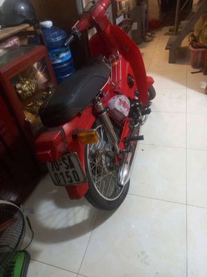 Honda Cup 1998 - ảnh 1