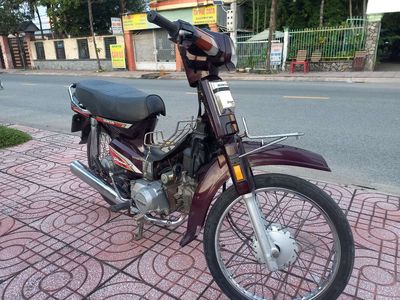 dream th 1995 - ảnh 1