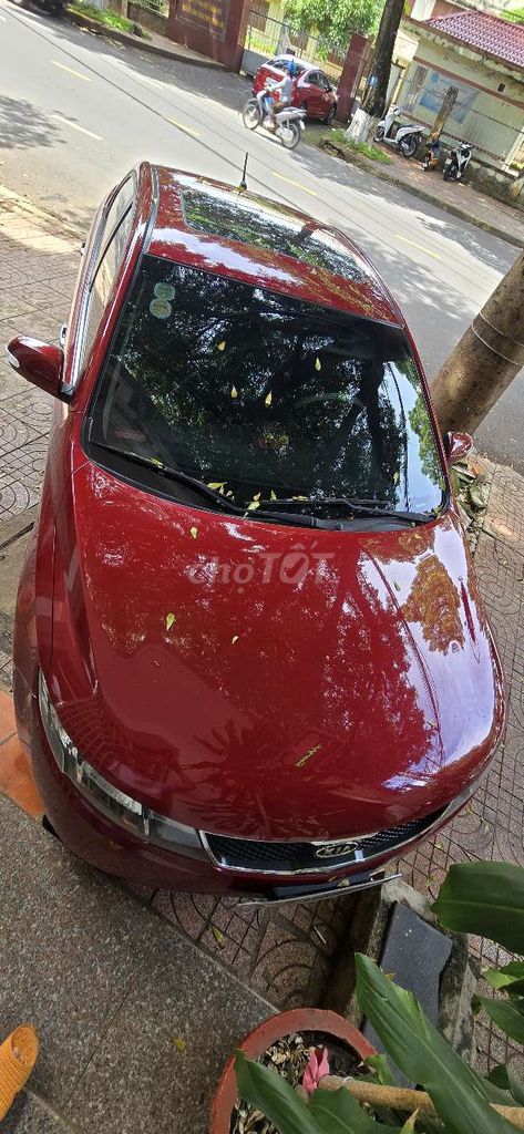 Kia Cerato 2009 - ảnh 4