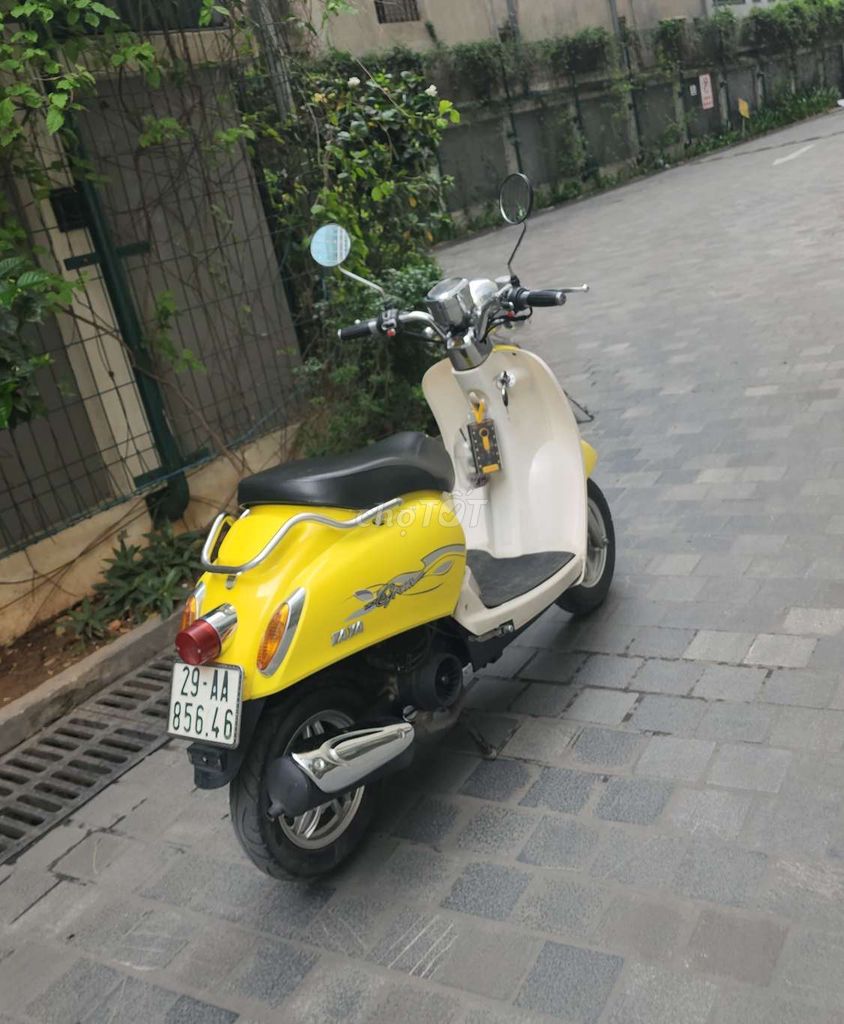 Crea 2024 - ảnh 3