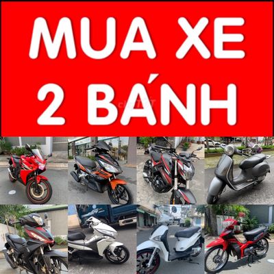 Mua xe 2020 - ảnh 1