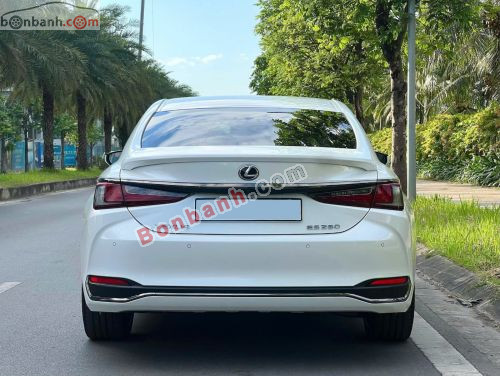 Lexus ES 250 F Sport 2022 - ảnh 5