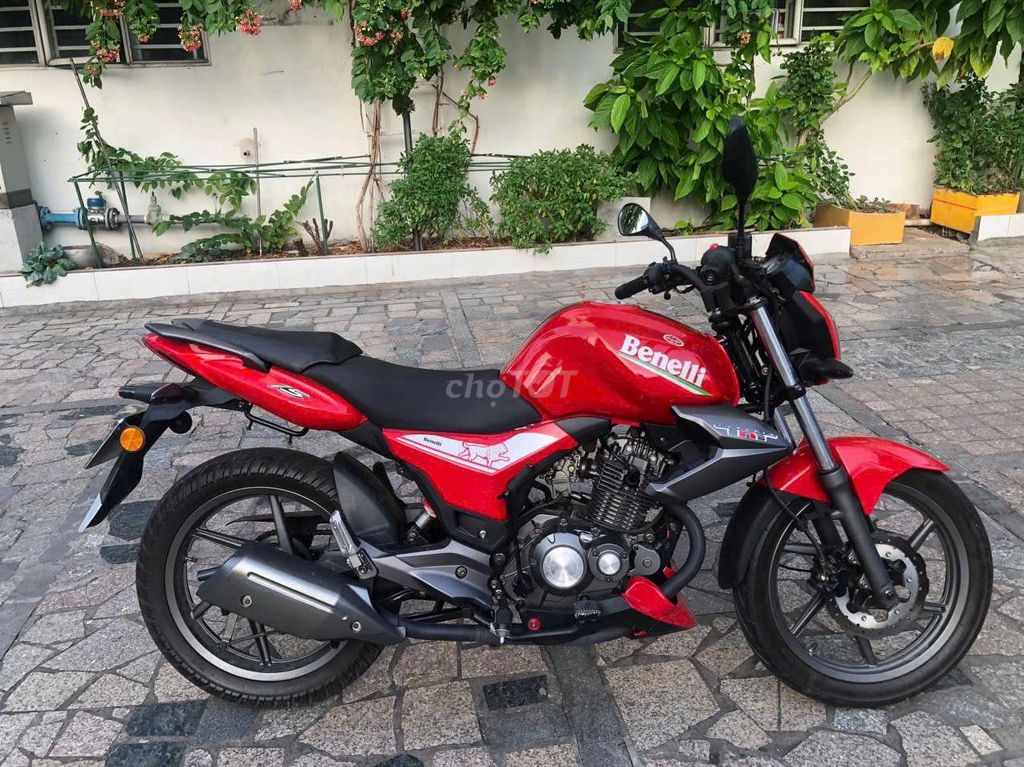 Benelli 2017 - ảnh 2