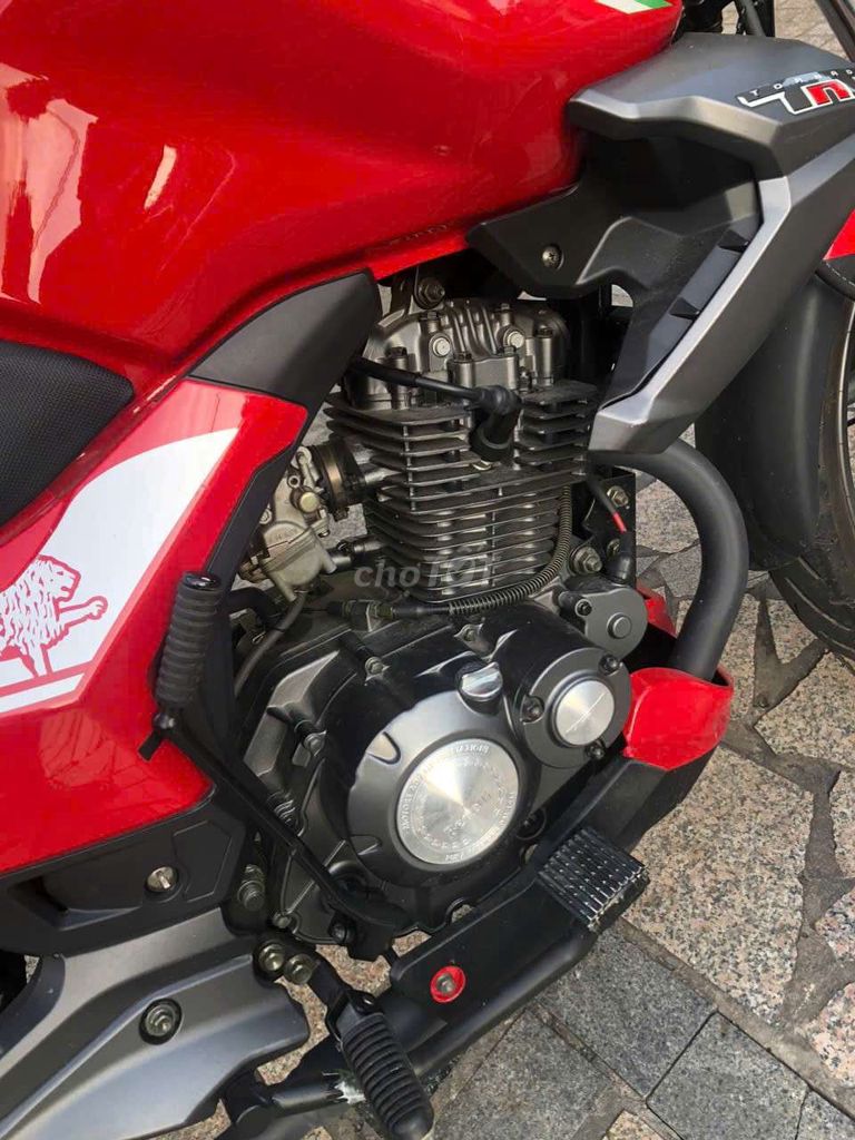 Benelli 2017 - ảnh 5