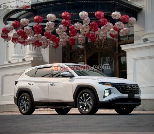 Hyundai Tucson 2.0 AT CRDi Đặc biệt 2024 - ảnh 1