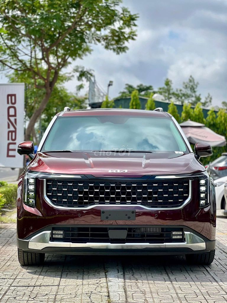 Kia Carnival - ảnh 2