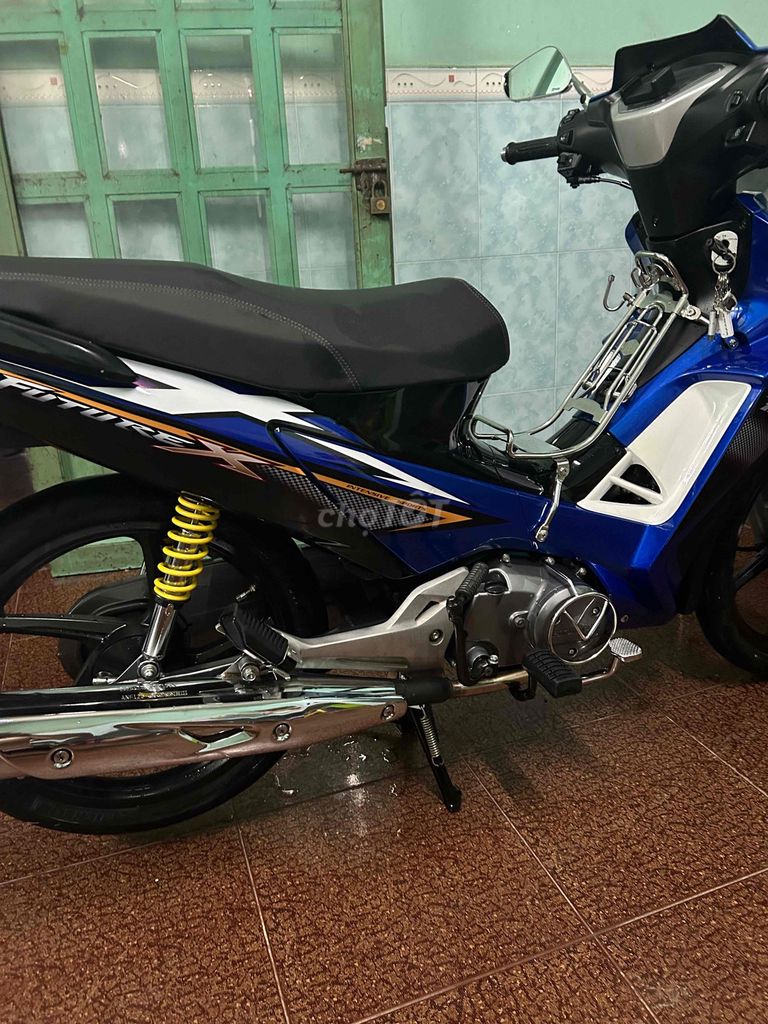 fu x 2010 - ảnh 2