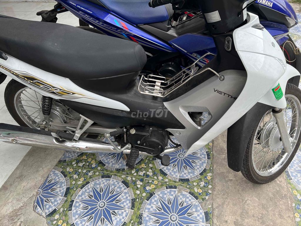 Việt Th 2024 - ảnh 5
