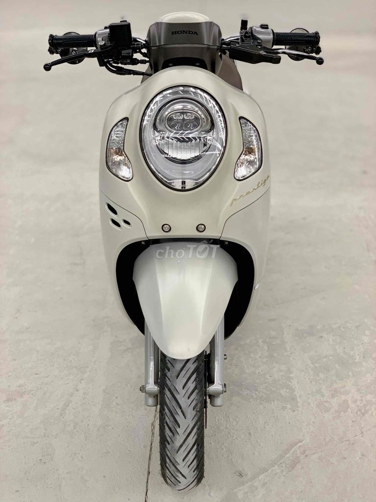 Honda Scoopy 2024 - ảnh 2
