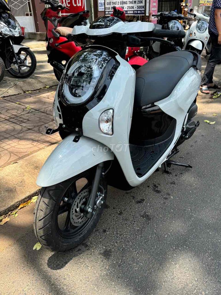 Honda Scoopy 2026 - ảnh 1