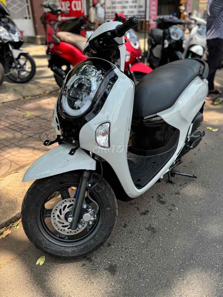 Honda Scoopy 2026 - ảnh 3