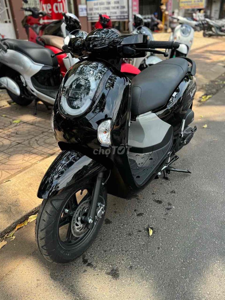 Honda Scoopy 2026 - ảnh 1