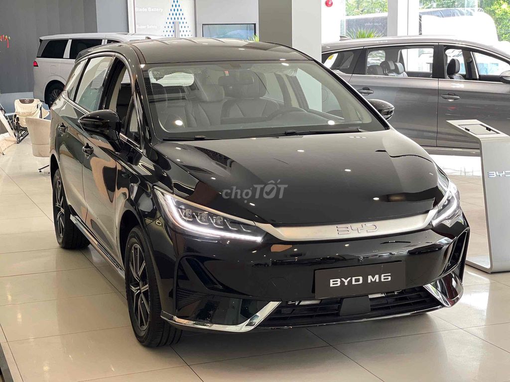 BYD M6 - ảnh 1