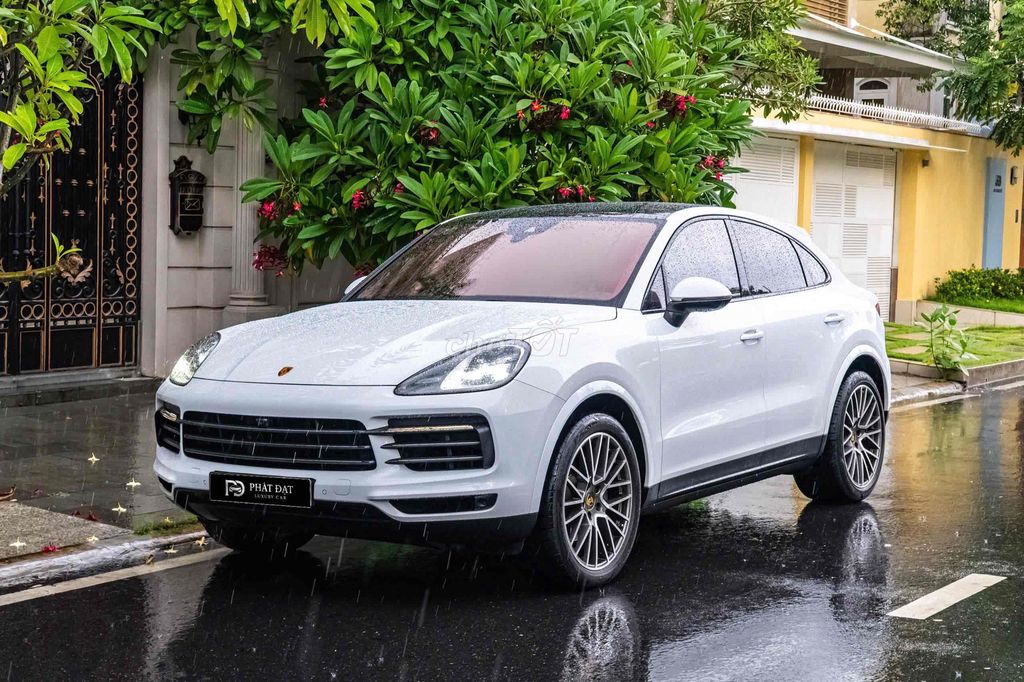 Porsche Cayenne 2022 - ảnh 1