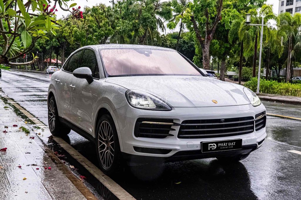 Porsche Cayenne 2022 - ảnh 3