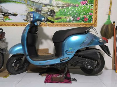 Xe tay 2024 - ảnh 1