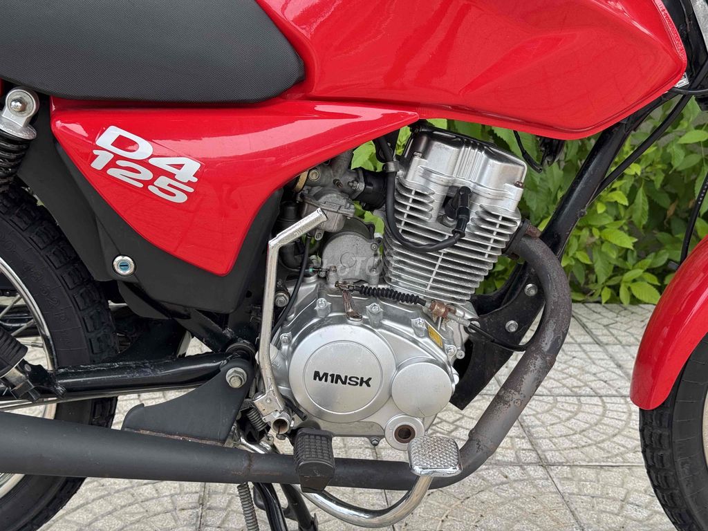 Min D 2019 - ảnh 4
