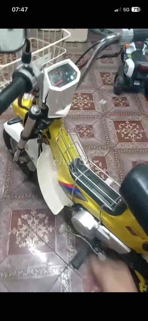 Honda Chaly 1987 - ảnh 2