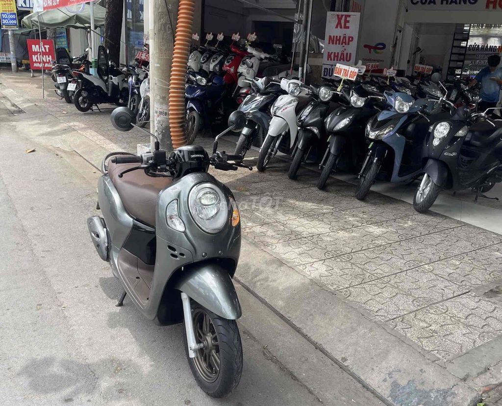 Honda Scoopy 2024 - ảnh 1