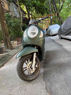Honda Scoopy 2024 - ảnh 1