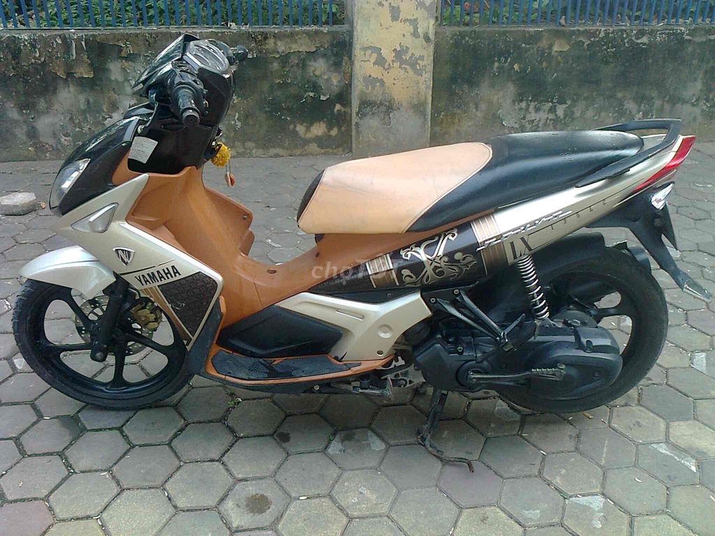 xe novo 2011 - ảnh 1