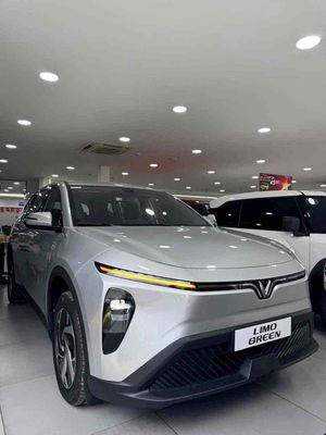 VinFast Limo Green - ảnh 1