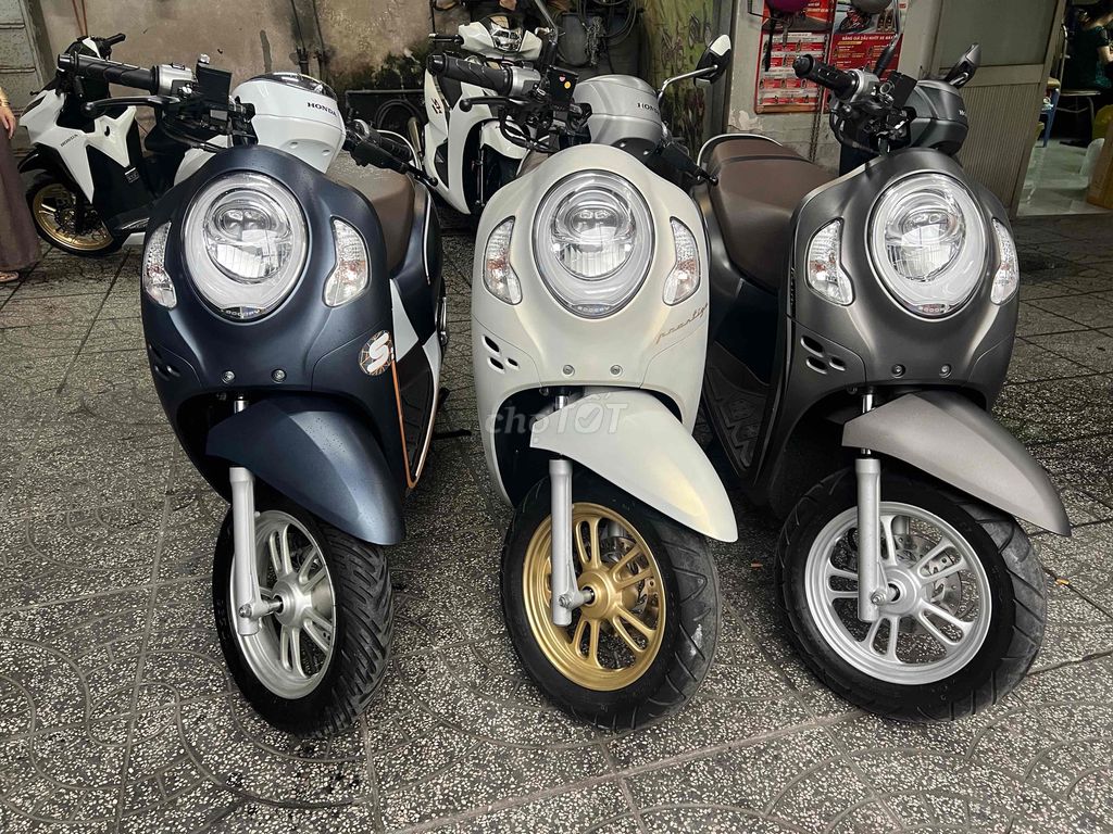 Honda Scoopy 2022 - ảnh 1
