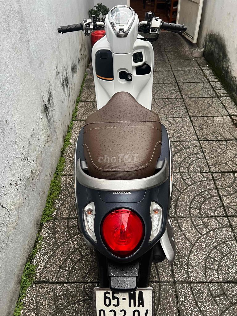 Honda Scoopy 2022 - ảnh 4