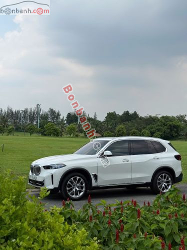 BMW X5 xDrive40i xLine 2024 - ảnh 4