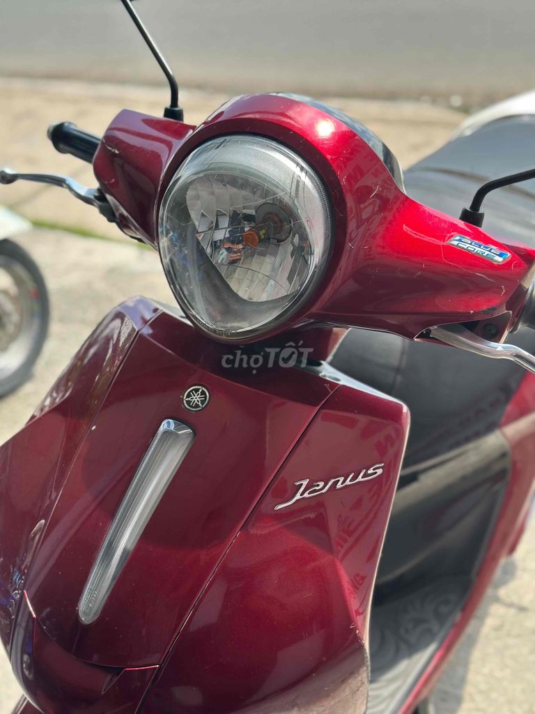janus bi 2016 - ảnh 2