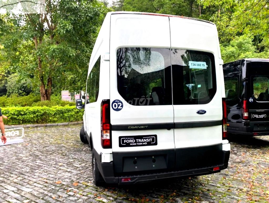 Ford Transit - ảnh 4