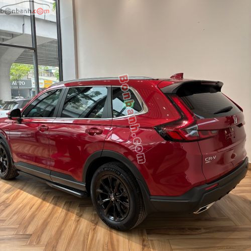 Honda CRV L 2026 - ảnh 4
