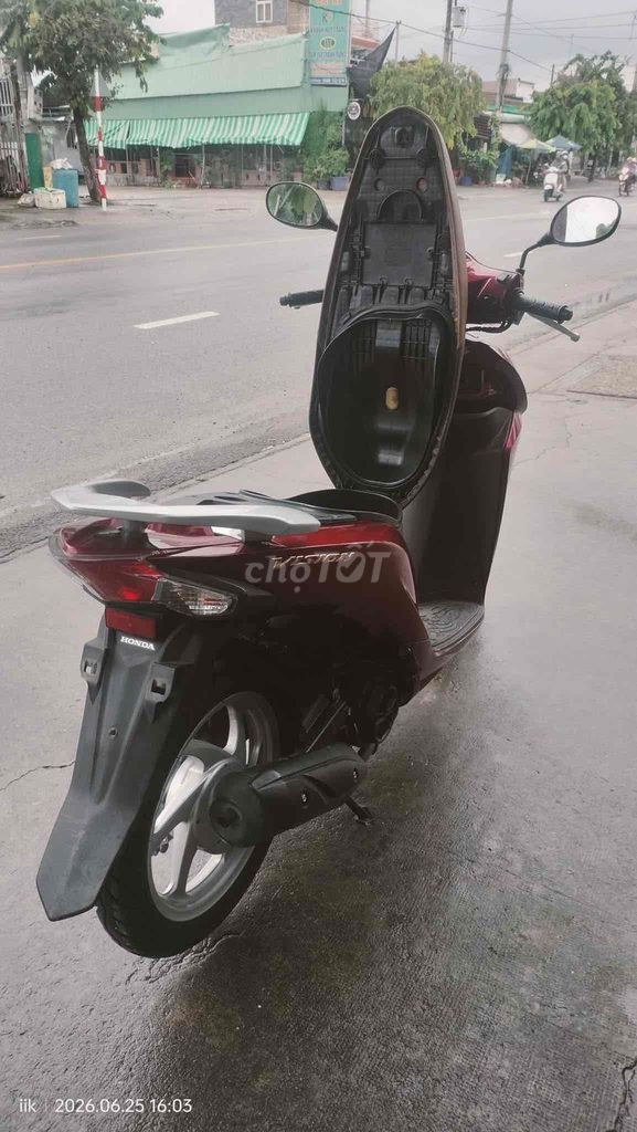 vi son 2020 - ảnh 2